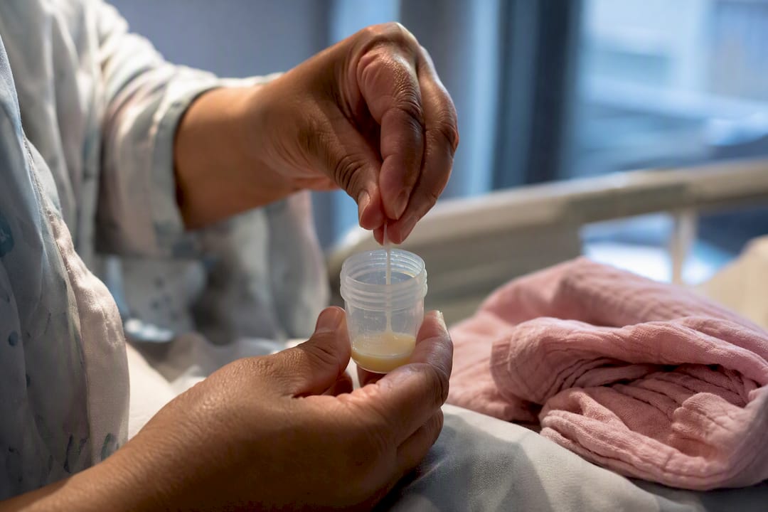 Hands expressing early colostrum into container